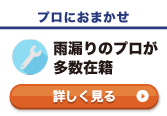 雨漏りのプロが多数在籍