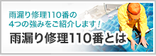 雨漏り修理110番とは