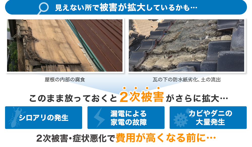 放っておくと大変なことに!? ２次被害がさらに拡大…