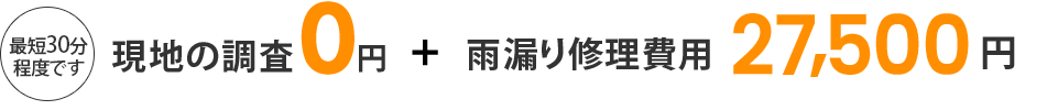 現地調査0円+雨漏り修理費用27,500円～（税込）/㎡