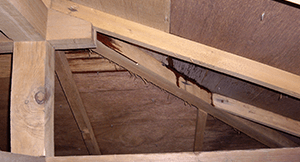 大切な家を傷つけてしまうかも…