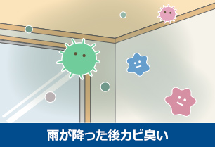 雨が降った後カビ臭い　イメージ