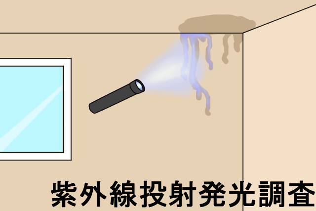 発光液による調査