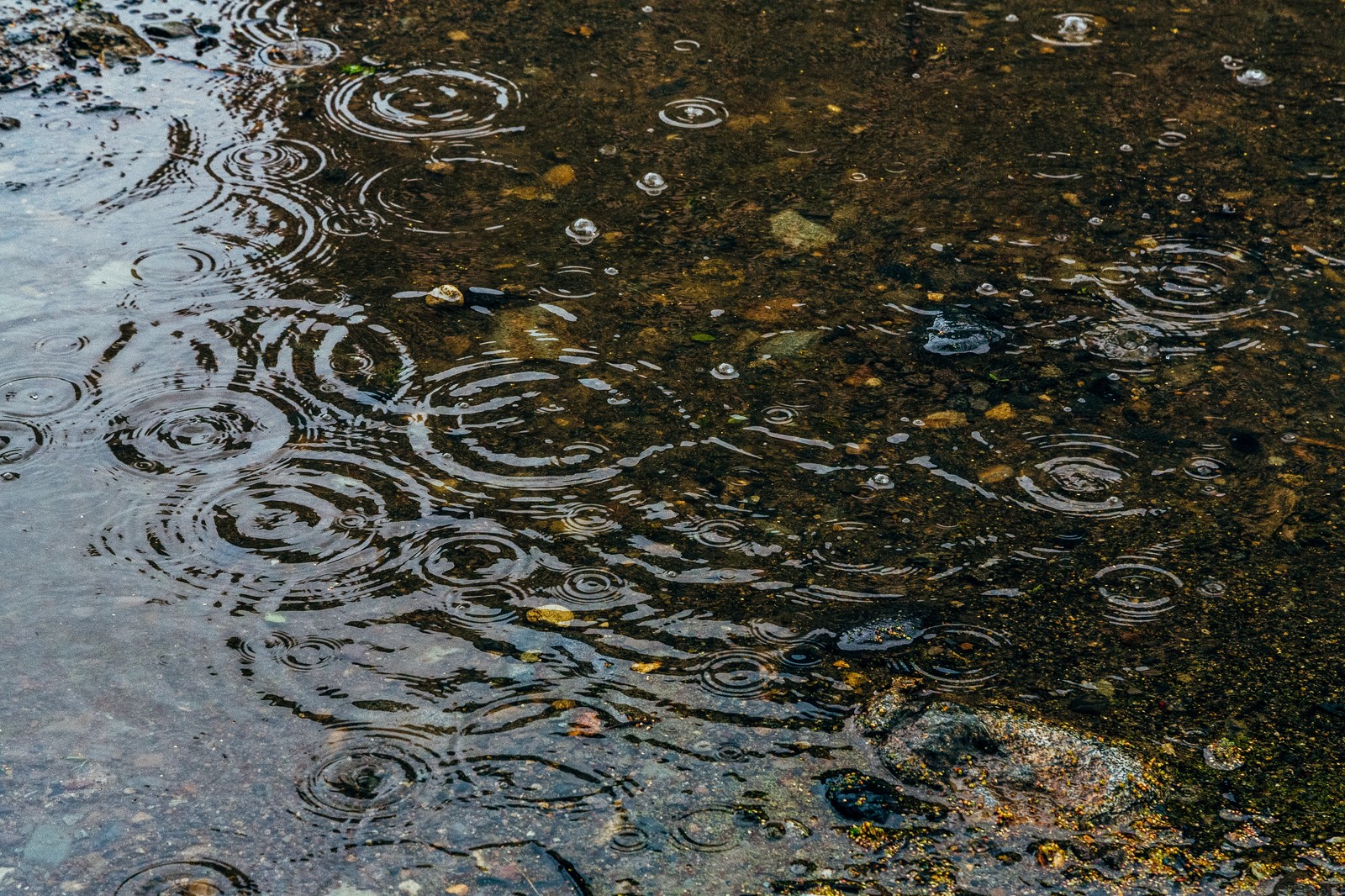 雨