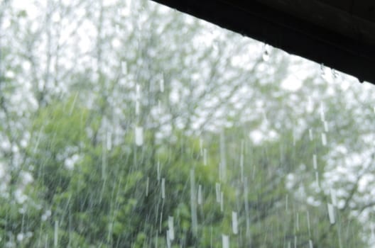 台風による雨漏りは多くのトラブルの原因に……自分でできる対策