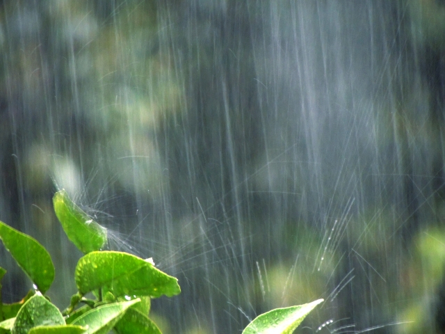 結露じゃなかった⁈サッシのカビは雨漏りが原因なことも！