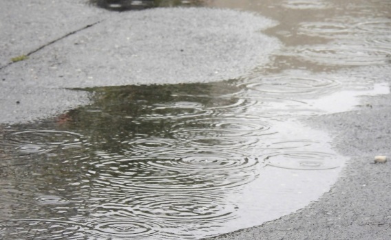 雨よけアイテムが活用できるのは雨の日だけではない