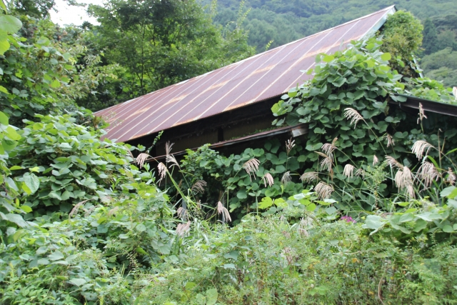 トタン屋根に穴が空いている