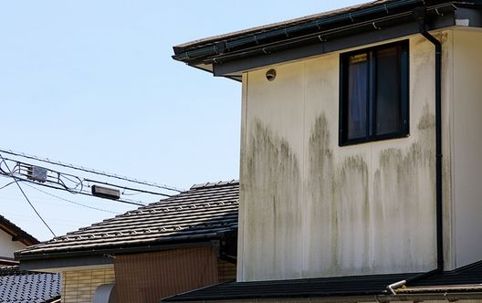 【漏電やカビ】雨漏りによる二次被害に注意